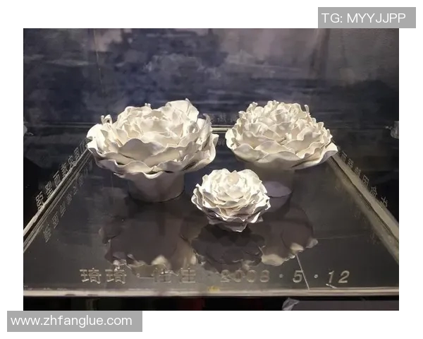 深度对话陈强排球人生的追求与梦想探索之旅 深度对话陈强排球人生的追求与梦想探索之旅