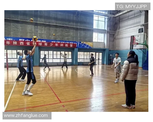 西安排球队灵活性引发热议球迷与专家观点碰撞分析 西安排球队灵活性引发热议球迷与专家观点碰撞分析
