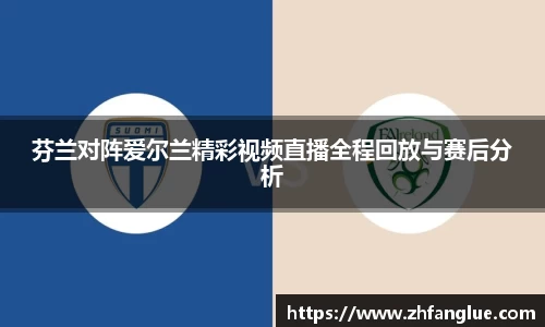 芬兰对阵爱尔兰精彩视频直播全程回放与赛后分析